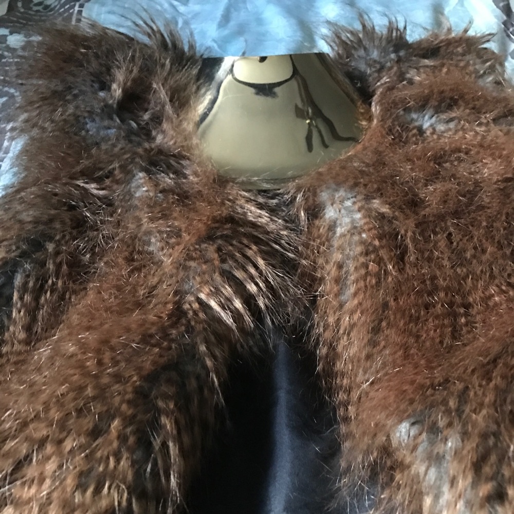 Brass Necklace and fur vest